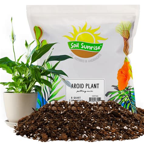 Aroid Plant Potting Soil Mix (8 Quarts), for Pothos Devil's Ivy, ZZ ...