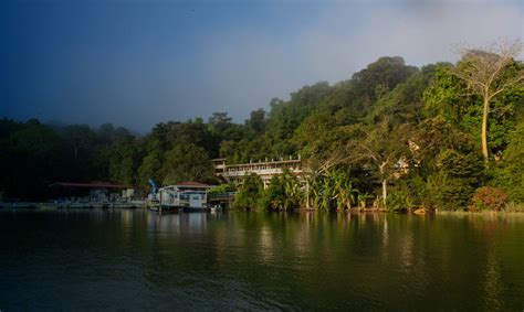 Isla Barro Colorado Que Hacer En Panama