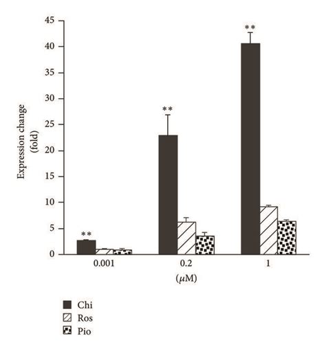 Preferential Induction Of Angptl And Pdk Mrna And Protein By