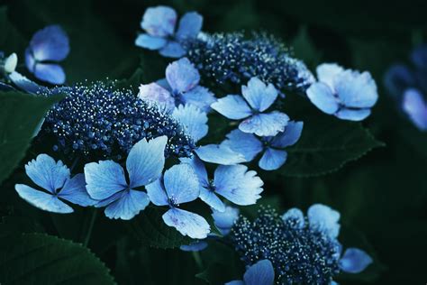 Butterfly Valley Photograph By Yuka Kato Fine Art America