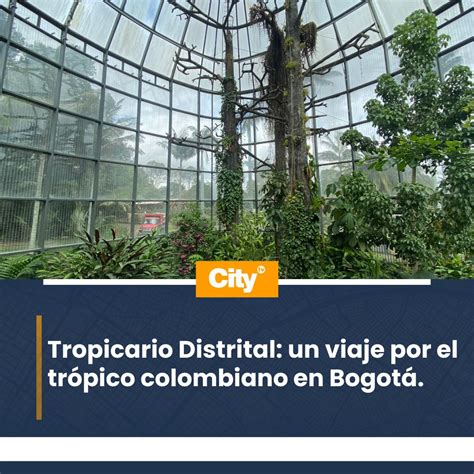 Canal Citytv On Twitter MedioAmbiente El Tropicario Distrital Del