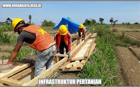 Infrastruktur Pertanian Meningkatkan Produktivitas Dan Pembangunan