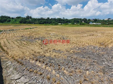 土地專簽 外埔723農地台中市外埔區虎尾竂段 樂屋網 土地買賣