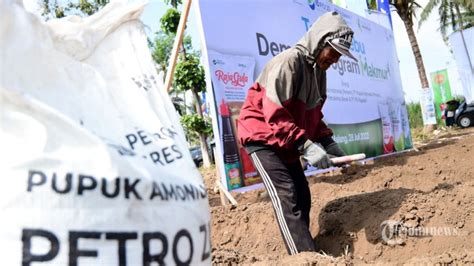 Digitalisasi Bisa Jadi Cara Efektif Untuk Memastikan Penyaluran Pupuk