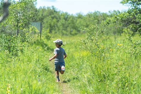 Fortwhyte Alive Create Your True Nature At Fortwhyte Alive