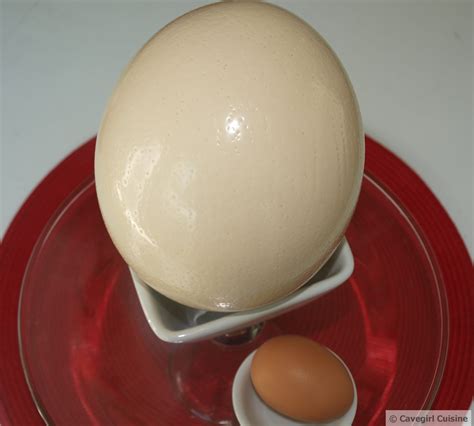 Ostrich Egg - Paleo Recipes - Cavegirl Cuisine