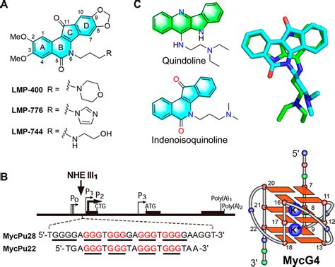 Chemical Structures Of Indenoisoquinoline Topoisomerase I Inhibitors In