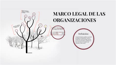 Marco Legal De Las Organizaciones By Elizabeth Trujillo On Prezi