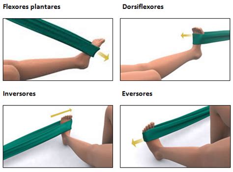 Exerc Cios Para Fisioterapia Na Entorse Do Tornozelo Entorses