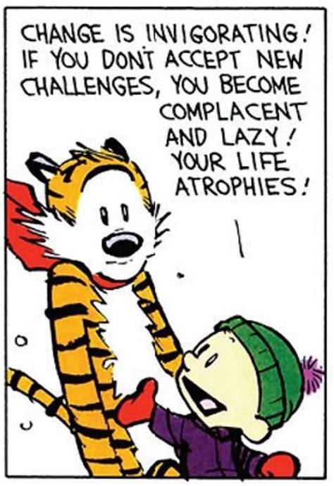 884 best Calvin and Hobbes images on Pinterest