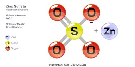 Zinc Sulfate Molecular Structure Formula Periodic Stock Vector (Royalty ...