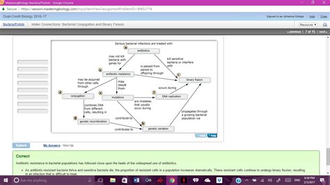 plasmid map example