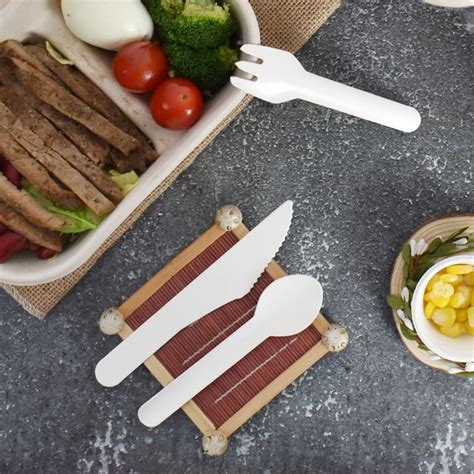 Eco Friendly Disposable Tableware Sugarcane Bagasse Cutlery Set