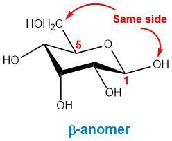 The indicated cyclic structure is that of allose. Is this a | Quizlet