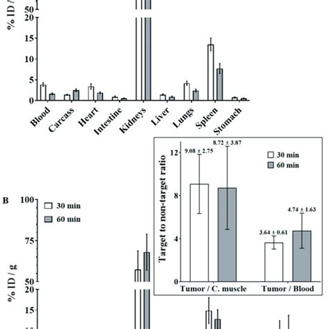 Ex Vivo Biodistribution Profile Obtained At 30 And 60 Min After