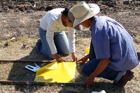 Boletín Agrario CONTROL ETOLÓGICO DE PLAGAS