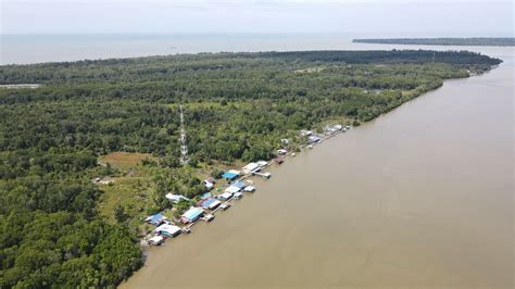 Mangrove Moon And The Tides The Story Of Progress In The Mumiang