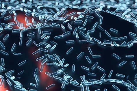 Enterobacteriaceae Bacterias Gramnegativas En Forma De Bastón Parte Del ...