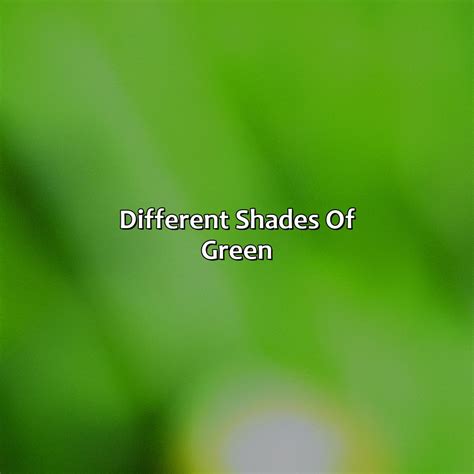 Different Shades Of Nude Colorscombo