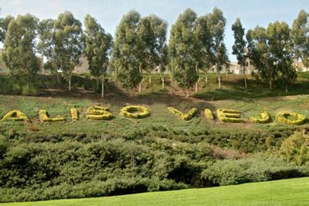 10 Interesting Facts About Aliso Viejo, California | Aliso Viejo Chamber