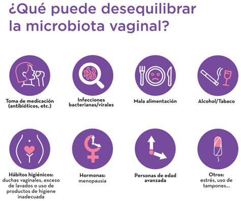 Microbiota vaginal qué es qué función cumple y cómo equilibrarla