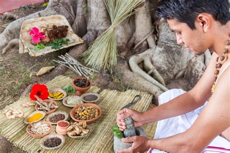 Three Reasons To Choose Ayurveda Courses In Kerala India YEG Thrive