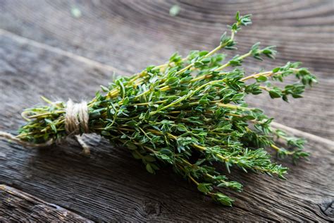 Thyme Fused Olive Oil Taste Ovs Olive Oil Vinegar Spices And Pasta