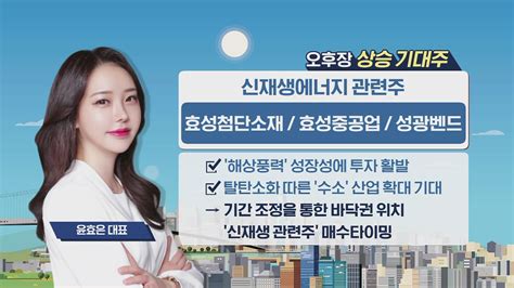 시황중계 오후 장 투자전략 2050년 탄소중립 위해 수소 산업 확대한다주목할 종목은 Sbs Biz