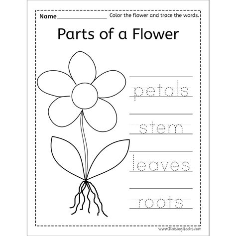 Flower Arranging Sensory Bin Raising Hooks