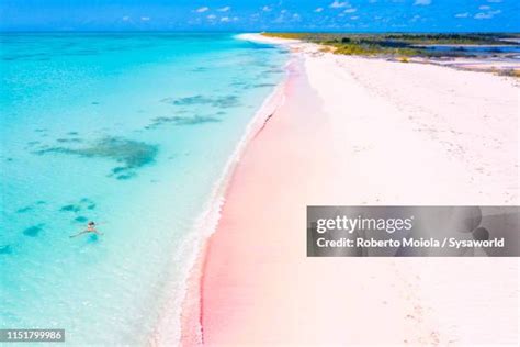 Barbados Climate Photos And Premium High Res Pictures Getty Images