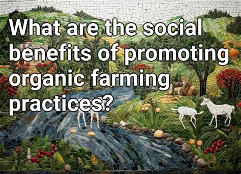 What are the social benefits of promoting organic farming practices ...