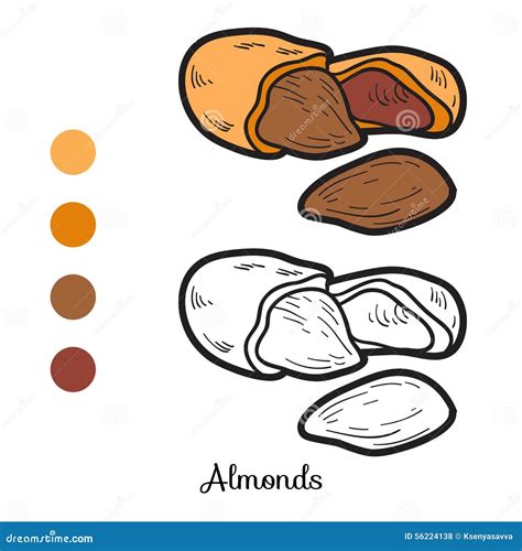 Malbuch Obst Und Gemüse Mandeln Vektor Abbildung Illustration von