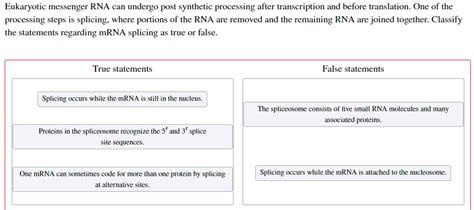 Solved Eukaryotic Messenger Rna Can Undergo Post Synthetic Chegg