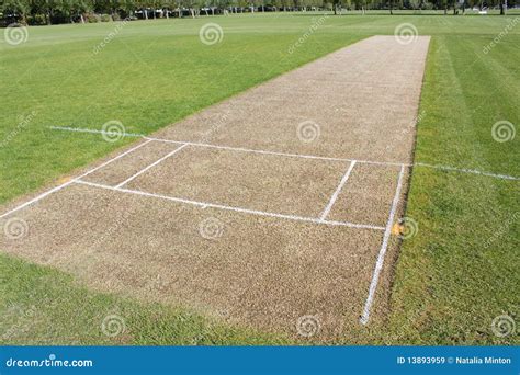 Cricket Pitch Top View