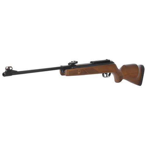 Gamo Hunter 440 Pellet Carbine Hunting