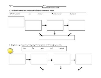 Food Chain Worksheet by PurplePanda | Teachers Pay Teachers