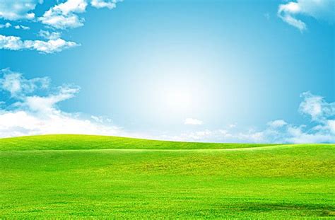 Sky green grass background baiyun green grass background image and wallpaper for free download ...