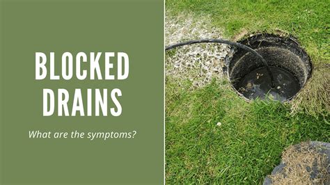 Blocked Drains - what are the signs? - D&J Drain Services Belfast NI