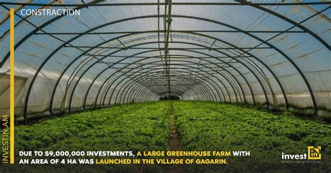 Due to $9,000,000 investments, a large greenhouse farm with an area of ...