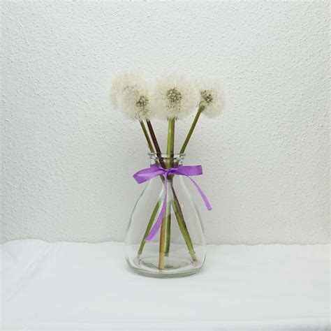 Pusteblume Haltbar Machen L Wenzahn Kreativ Blog Diy Gadgets