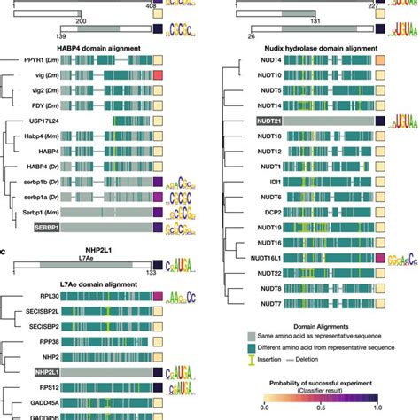 Rna Binding Specificity Of Putative Ucrbds Part I Representative