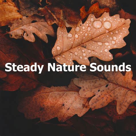 Splashing in the Downpour música y letra de Mother Nature FX Spotify