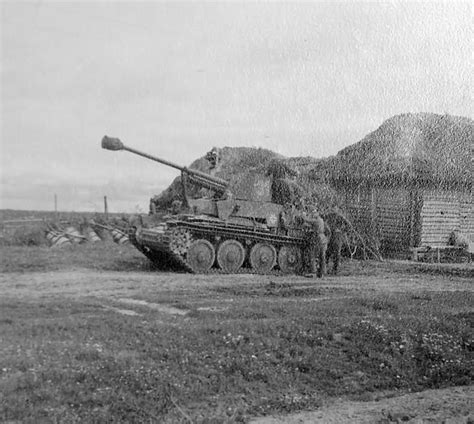 Marder Iii 31 In Russia World War Photos