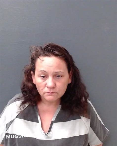 James Michele Renee Comal County Mugshots Zone