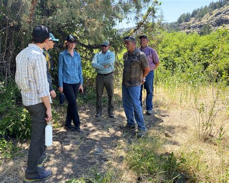 Feds say new investments in Oregon sage grouse habitat paying off, but