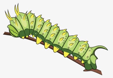 Transparent Caterpillar Clipart Orugas Free Transparent Clipart