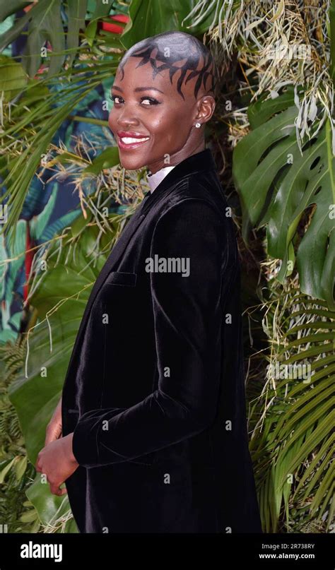 Photo By Patricia Schlein Star Max Ipx Lupita Nyong O At