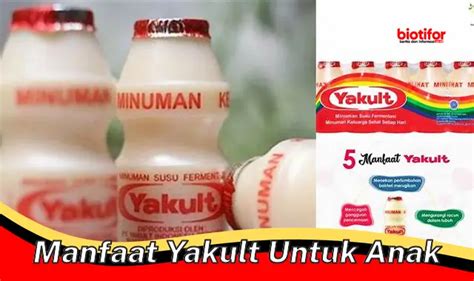 Temukan Manfaat Yakult Untuk Anak Yang Jarang Diketahui Biotifor