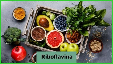 O Que É Riboflavina - Riboflavina: o que é, fontes, benefícios e deficiência - Dicas de Saúde