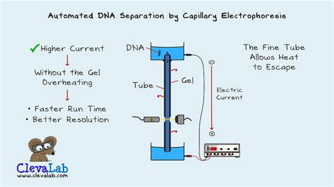 Sanger Dna Sequencing From Then To Now